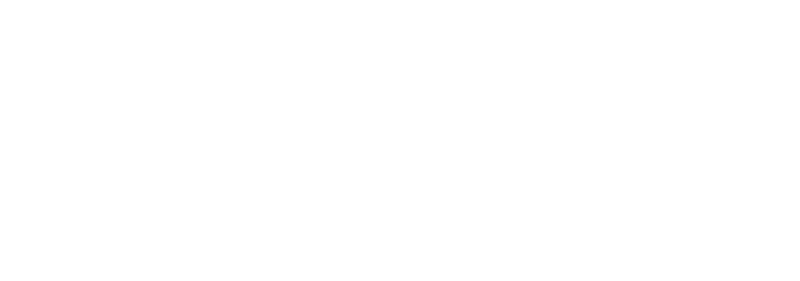 Logo Livix
